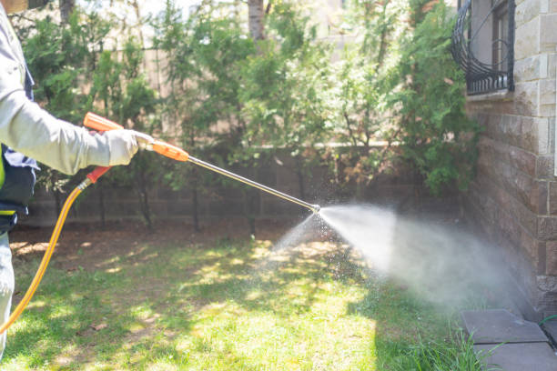 Best Best Pest Control Companies  in Vla Grove, IL