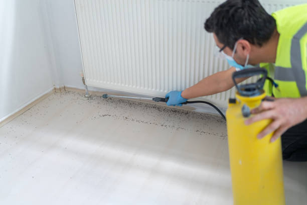 Best Residential Pest Control  in Vla Grove, IL