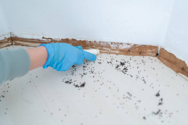 Trusted Villa Grove, IL Pest Control Experts
